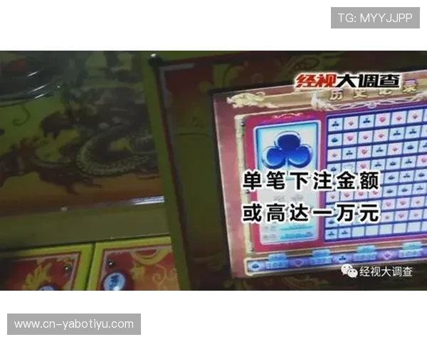 百家乐大眼路最新数据发布核心看点趋势逐渐显现市场变化与预测分析进一步深入