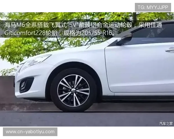 M6体育深度解析最新赛事动态全面报道国内外体育热点新闻