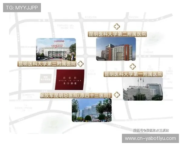 开云体育注册全流程详解与新手快速上手实用指南推荐
