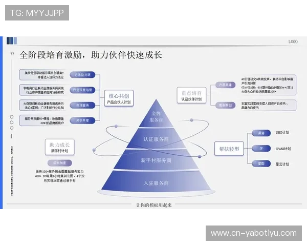 以太阳城公司为核心探讨数字化转型与全球市场拓展新路径研究分析